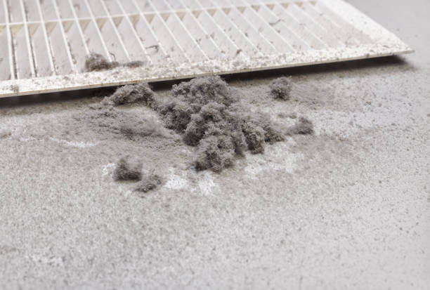 Best Emergency Air Duct Cleaning  in Larch Y, WA
