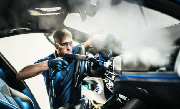 Best Air Duct Mold Removal  in Larch Y, WA
