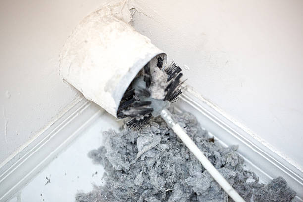 Best Affordable Duct Cleaning Services  in Larch Y, WA