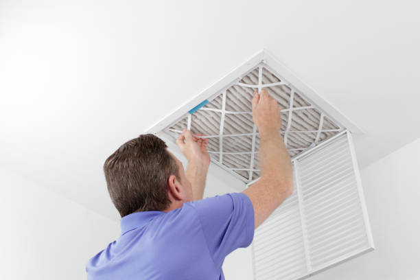 Best Home Air Vent Cleaning  in Larch Y, WA
